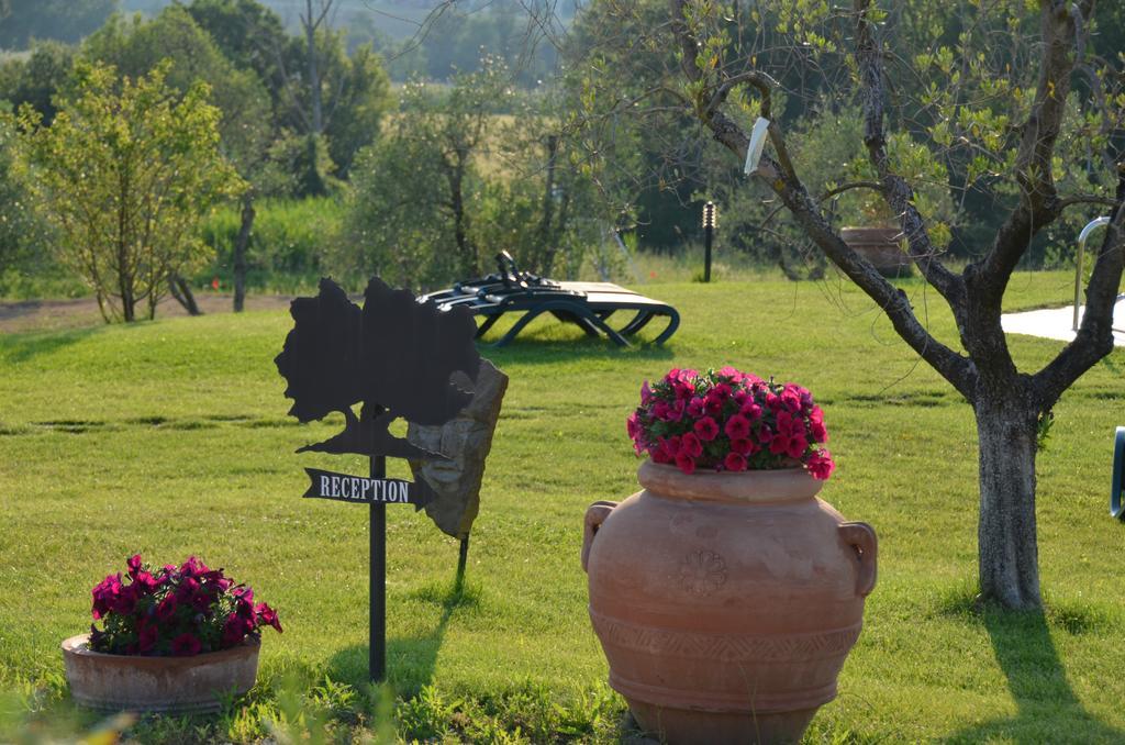 Poggio Degli Olivi Guest House Saturnia Exterior photo